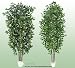 TWO 7' Artificial Trees -Ficus + Camphor with Real Wood Trunks