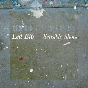 Cover of "Sensible Shoes" Cover of "Sensible Shoes"