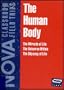 Nova: The Human Body [VHS]
