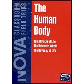Nova: The Human Body [VHS]