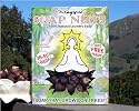 Maggie's Soap Nuts. (80 Loads) 100% Natural Laundry Soap. Grows on TreesTM. Very Best Quality. America's Premier Supplier. Wild Harvested! Processed with NO Chemicals or Preservatives.