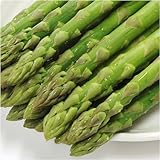 ��k�C���r���Y�≺������̃O���[���A�X�p���k�T�C�Y�P�j���ᑗ��������