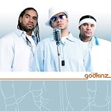 cover of The Godkinz