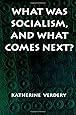 What Was Socialism, and What Comes Next? (Princeton Studies in Culture/Power/History)