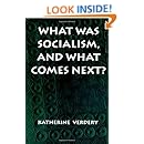 What Was Socialism, and What Comes Next? (Princeton Studies in Culture/Power/History)