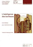 Revue Institur Français de l'Intelligence Economique  / L'intelligence des banlieues : Les réseaux pour sortir de la crise