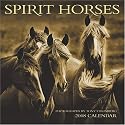 Spirit Horses 2008 Calendar