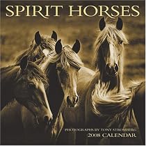 Spirit Horses Calendar