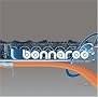 Live from Bonnaroo 2003 Live from Bonnaroo 2003