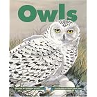 Owls (Kids Can Press Wildlife Series) by Adrienne Mason and Nancy Gray Ogle