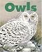 Owls (Kids Can Press Wildlife)