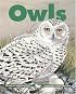Owls (Kids Can Press Wildlife Series)