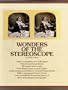 Wonders of the stereoscope