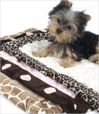 Box Blanket for Dogs by Susan Lanci - Cheetah with Ivory