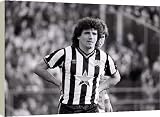 Box Canvas Print of Brighton v Newcastle United Football from Mirror Photos