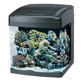Bio Cube Aquarium - 8 Gallon