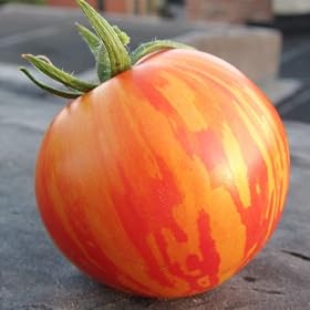 Pepper - Thai Dragon - 25 Seeds + *Free Seeds*