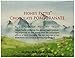 Heavenly Organics Almond Chocolate Honey Patties (16 Pack) Made with 100% Organic Cocoa and 100% Organic Raw White Honey; Non-GMO, Fair Trade, Kosher, Dairy & Gluten Free, No Sugar Added