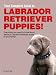 Your Complete Guide to Labrador Retriever Puppies!