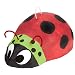 Ladybug 18" Pinata Party Supplies