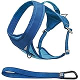 Kurgo Go-Tech Adventure Dog Harness, Large, Blue - Lifetime Warranty