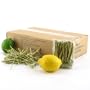 2,000 Piece Box of 3.5" Bamboo Cocktail Picks with Knotted Ends, 20bags X 100pc/bag
