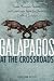 Galapagos at the Crossroads: Pirates, Biologists, Tourists, and Creationists Battle for Darwin's Cradle of Evolution