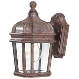 Harrison&trade; Series 11 1/2" High Outdoor Wall Light