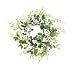 Melrose International 22-Inch Diameter White Dogwood Twig Wreath with Berries and Soft Green Foliage Melrose International 22-Inch Diameter White Dogwood Twig Wreath with Berries and Soft Green Foliage
