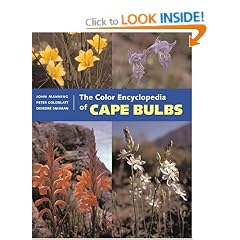 The Color Encyclopedia Of Cape Bulbs