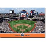 (22x34) New York Mets Citi Field Sports Poster Print
