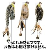 �v���b�c�@���C���h�L���b�g�@�i�`�������e�B�[�U�[�@TC81500