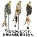 �v���b�c�@���C���h�L���b�g�@�i�`�������e�B�[�U�[�@TC81500