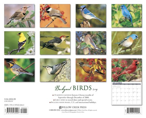 Backyard Birds 2009 Calendar under General in The Books Store