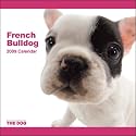 2009 French Bulldog ARTLIST Square Wall Calendar