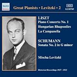 The Great Pianists - Levitski, Vol 2