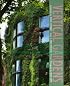 Vertical Gardens