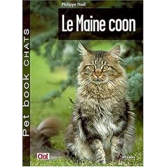 Le Maine coon