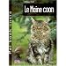 Le Maine coon