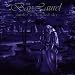 Bay Laurel-Under a Clouded Sky