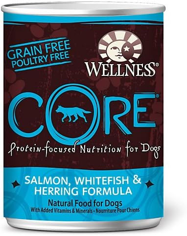 Wellness Grain-Free CORE Can Dog Turkey 12.5 oz Case 12