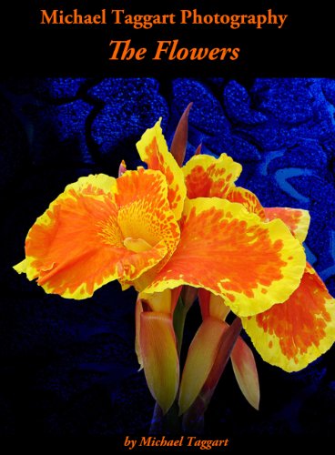 Michael Taggart Photography: The Flowers