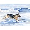 "German Shepherd At the Beach" Dog Art Print By Artist DJ Rogers