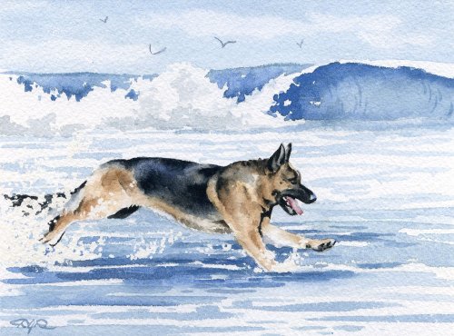 German Shepherd At the Beach Dog Art Print By Artist DJ Rogers