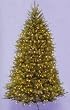 12' Dunhill Fir Pre-Lit Artificial Christmas Tree - Clear Lights