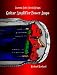 Vacuum Tube Circuit Design: Guitar Amplifier Power Amps