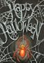 Spider's Web Garden Flag