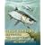 High Rollers: Fly Fishing for Giant Tarpon
