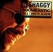 Shaggy-Boombastic