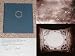Search : On The Music Of The Spheres: Photographs By Linda Connor, Poems By Charles Simic